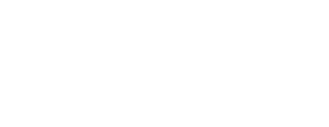 Logo El Perro de la Puerta de Atrás del Coche en Madrid
